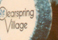 Clearspring Village Float